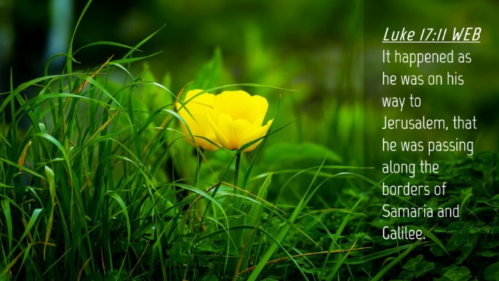 Picture 04 - Luke 17:11 WEB Desktop Wallpaper - It happened as he was on his way to Jerusalem, - Desktop Bible Verse Wallpaper