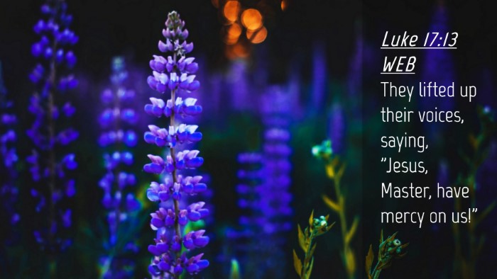 Picture 04 - Luke 17:13 WEB Desktop Wallpaper - They lifted up their voices, saying, 