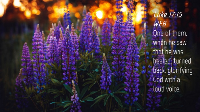 Picture 04 - Luke 17:15 WEB Desktop Wallpaper - One of them, when he saw that he was healed, - Desktop Bible Verse Wallpaper