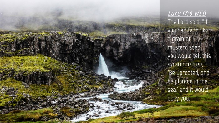 Picture 04 - Luke 17:6 WEB Desktop Wallpaper - The Lord said, 