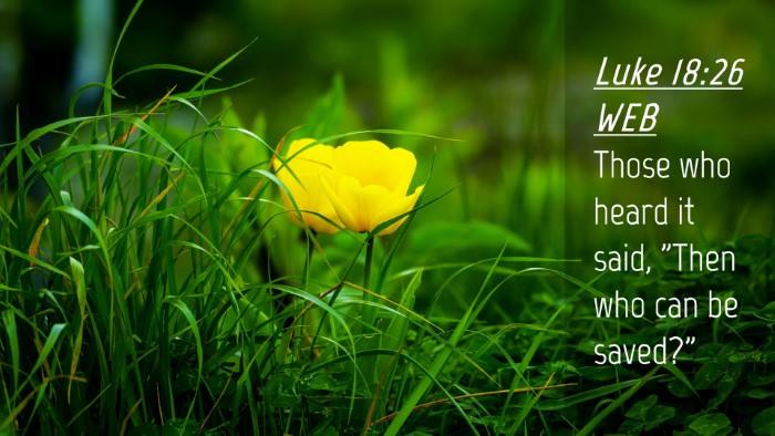 Picture 04 - Luke 18:26 WEB Desktop Wallpaper - Those who heard it said, 
