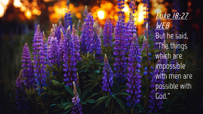Picture 04 - Luke 18:27 WEB Desktop Wallpaper - But he said, 