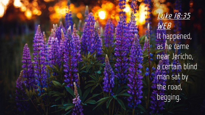 Picture 04 - Luke 18:35 WEB Desktop Wallpaper - It happened, as he came near Jericho, a certain - Desktop Bible Verse Wallpaper