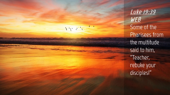 Picture 04 - Luke 19:39 WEB Desktop Wallpaper - Some of the Pharisees from the multitude said to - Desktop Bible Verse Wallpaper