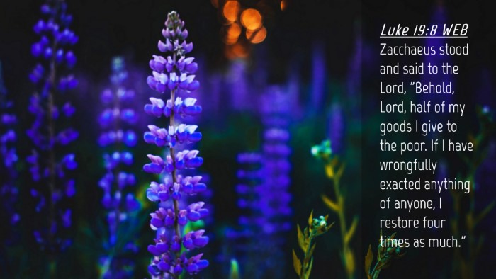 Picture 04 - Luke 19:8 WEB Desktop Wallpaper - Zacchaeus stood and said to the Lord, 