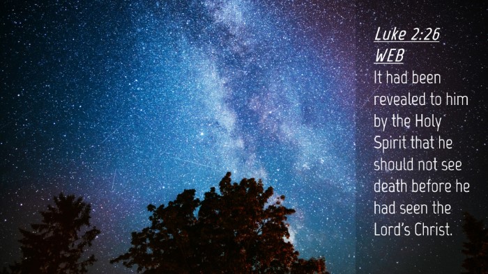 Picture 04 - Luke 2:26 WEB Desktop Wallpaper - It had been revealed to him by the Holy Spirit - Desktop Bible Verse Wallpaper