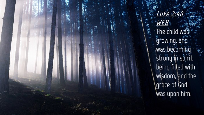 Picture 04 - Luke 2:40 WEB Desktop Wallpaper - The child was growing, and was becoming strong in - Desktop Bible Verse Wallpaper