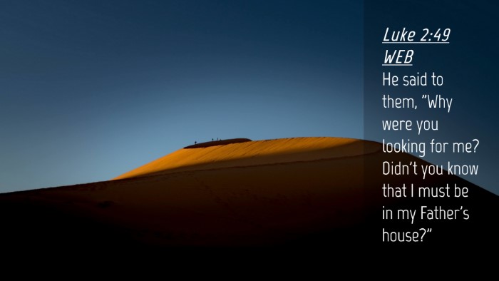 Picture 04 - Luke 2:49 WEB Desktop Wallpaper - He said to them, 