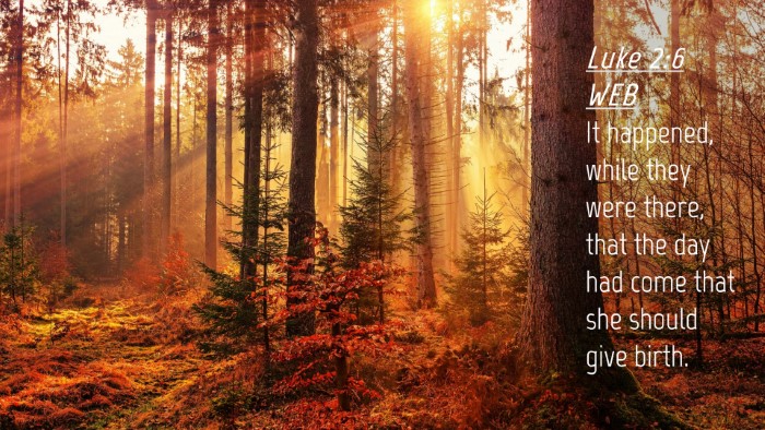 Picture 04 - Luke 2:6 WEB Desktop Wallpaper - It happened, while they were there, that the day - Desktop Bible Verse Wallpaper