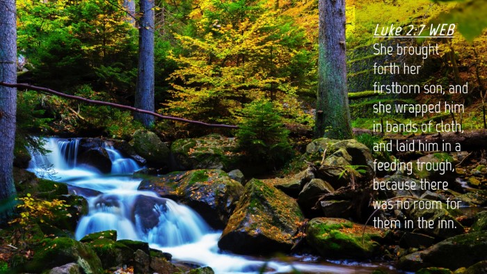Picture 04 - Luke 2:7 WEB Desktop Wallpaper - She brought forth her firstborn son, and she - Desktop Bible Verse Wallpaper