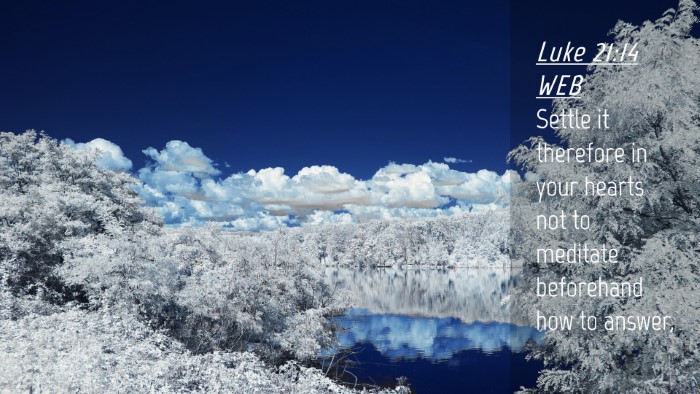 Picture 04 - Luke 21:14 WEB Desktop Wallpaper - Settle it therefore in your hearts not to - Desktop Bible Verse Wallpaper