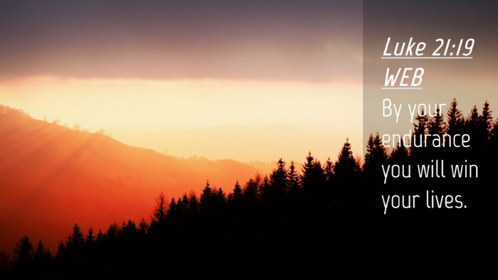 Picture 04 - Luke 21:19 WEB Desktop Wallpaper - By your endurance you will win your - Desktop Bible Verse Wallpaper