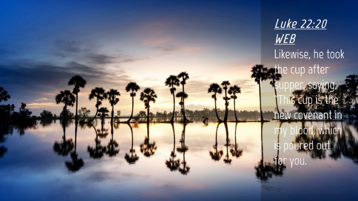 Picture 04 - Luke 22:20 WEB Desktop Wallpaper - Likewise, he took the cup after supper, saying, - Desktop Bible Verse Wallpaper