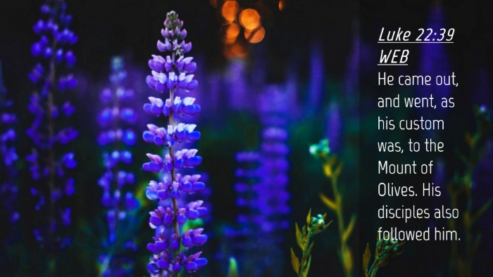 Picture 04 - Luke 22:39 WEB Desktop Wallpaper - He came out, and went, as his custom was, to the - Desktop Bible Verse Wallpaper