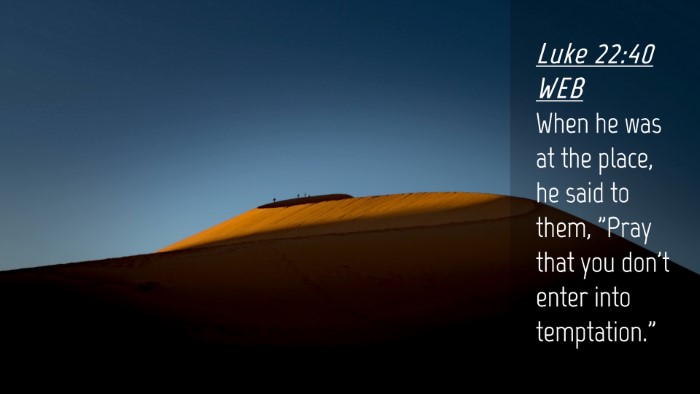 Picture 04 - Luke 22:40 WEB Desktop Wallpaper - When he was at the place, he said to them, 