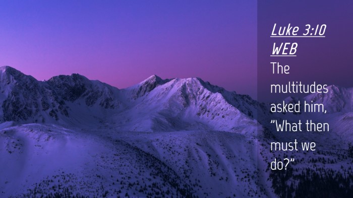 Picture 04 - Luke 3:10 WEB Desktop Wallpaper - The multitudes asked him, 
