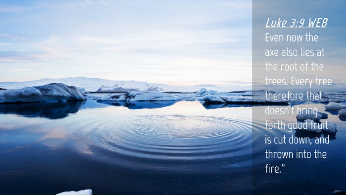Picture 04 - Luke 3:9 WEB Desktop Wallpaper - Even now the axe also lies at the root of the - Desktop Bible Verse Wallpaper