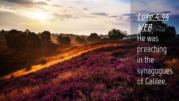 Picture 04 - Luke 4:44 WEB Desktop Wallpaper - He was preaching in the synagogues of - Desktop Bible Verse Wallpaper