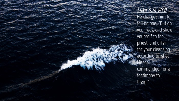 Picture 04 - Luke 5:14 WEB Desktop Wallpaper - He charged him to tell no one, 