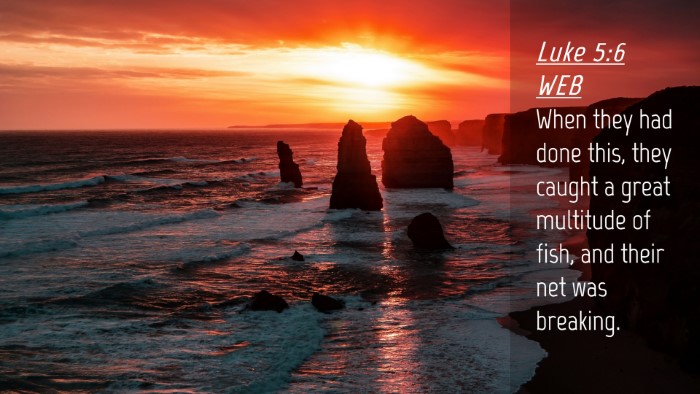 Picture 04 - Luke 5:6 WEB Desktop Wallpaper - When they had done this, they caught a great - Desktop Bible Verse Wallpaper