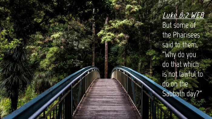 Picture 04 - Luke 6:2 WEB Desktop Wallpaper - But some of the Pharisees said to them, 