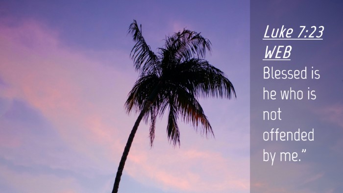 Picture 04 - Luke 7:23 WEB Desktop Wallpaper - Blessed is he who is not offended by - Desktop Bible Verse Wallpaper
