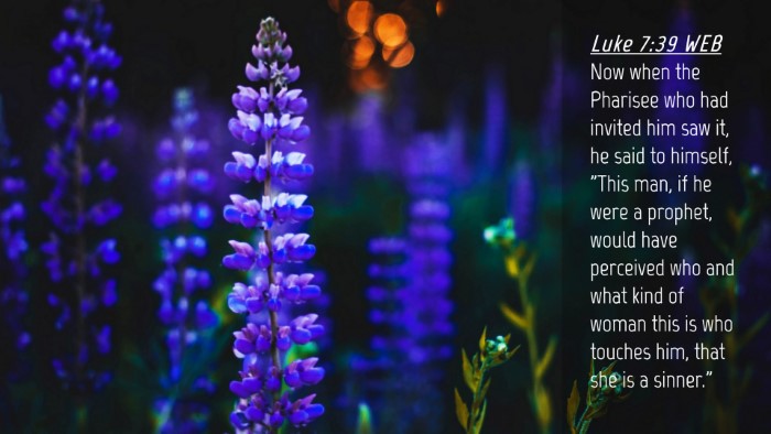 Picture 04 - Luke 7:39 WEB Desktop Wallpaper - Now when the Pharisee who had invited him saw it, - Desktop Bible Verse Wallpaper