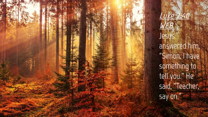 Picture 04 - Luke 7:40 WEB Desktop Wallpaper - Jesus answered him, 