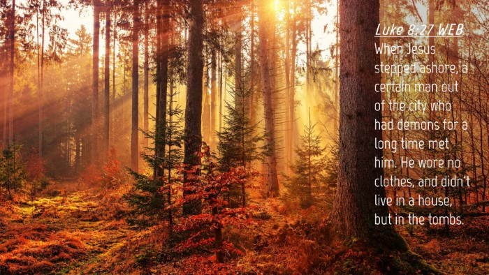 Picture 04 - Luke 8:27 WEB Desktop Wallpaper - When Jesus stepped ashore, a certain man out of - Desktop Bible Verse Wallpaper