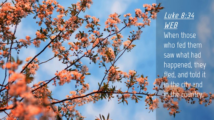 Picture 04 - Luke 8:34 WEB Desktop Wallpaper - When those who fed them saw what had happened, - Desktop Bible Verse Wallpaper