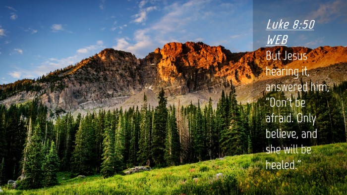 Picture 04 - Luke 8:50 WEB Desktop Wallpaper - But Jesus hearing it, answered him, 