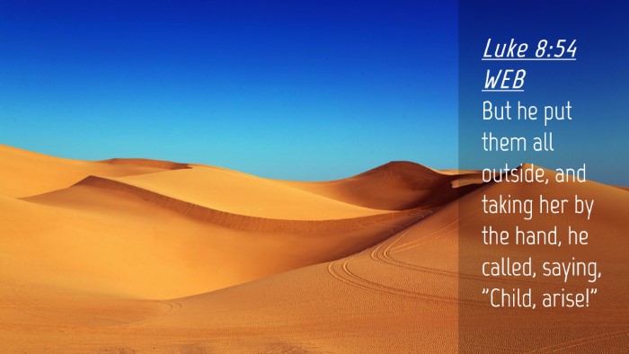 Picture 04 - Luke 8:54 WEB Desktop Wallpaper - But he put them all outside, and taking her by - Desktop Bible Verse Wallpaper