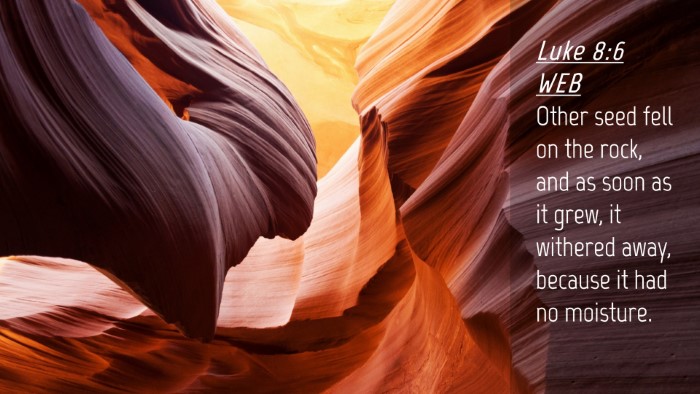 Picture 04 - Luke 8:6 WEB Desktop Wallpaper - Other seed fell on the rock, and as soon as it - Desktop Bible Verse Wallpaper