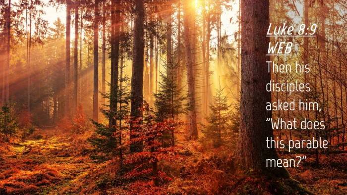 Picture 04 - Luke 8:9 WEB Desktop Wallpaper - Then his disciples asked him, 