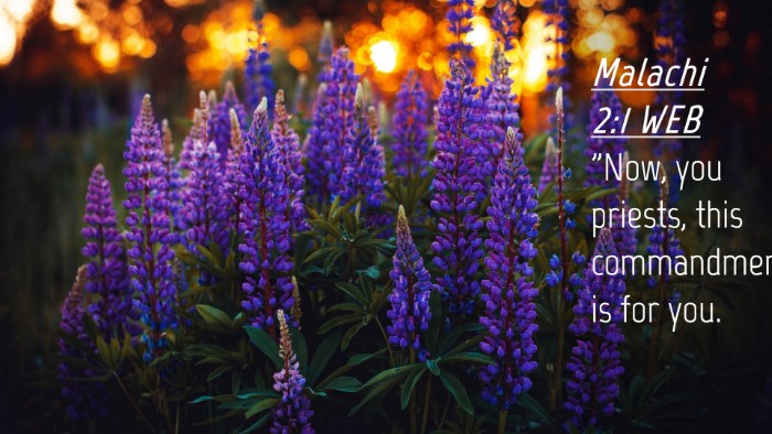 Picture 04 - Malachi 2:1 WEB Desktop Wallpaper - 