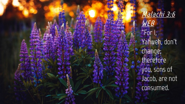 Picture 04 - Malachi 3:6 WEB Desktop Wallpaper - 