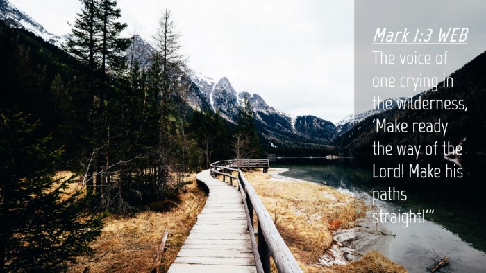 Picture 04 - Mark 1:3 WEB Desktop Wallpaper - The voice of one crying in the wilderness, 'Make - Desktop Bible Verse Wallpaper