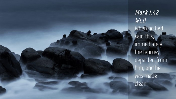 Picture 04 - Mark 1:42 WEB Desktop Wallpaper - When he had said this, immediately the leprosy - Desktop Bible Verse Wallpaper