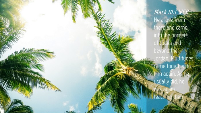 Picture 04 - Mark 10:1 WEB Desktop Wallpaper - He arose from there and came into the borders of - Desktop Bible Verse Wallpaper