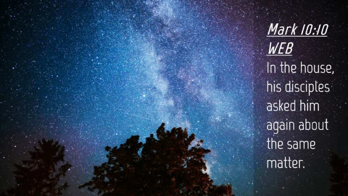 Picture 04 - Mark 10:10 WEB Desktop Wallpaper - In the house, his disciples asked him again about - Desktop Bible Verse Wallpaper