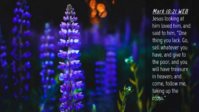 Picture 04 - Mark 10:21 WEB Desktop Wallpaper - Jesus looking at him loved him, and said to him, - Desktop Bible Verse Wallpaper