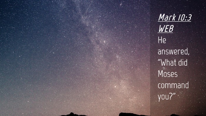 Picture 04 - Mark 10:3 WEB Desktop Wallpaper - He answered, 
