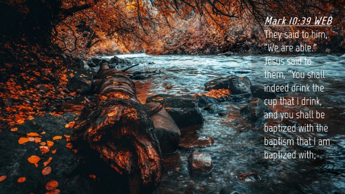 Picture 04 - Mark 10:39 WEB Desktop Wallpaper - They said to him, 