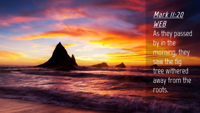 Picture 04 - Mark 11:20 WEB Desktop Wallpaper - As they passed by in the morning, they saw the - Desktop Bible Verse Wallpaper