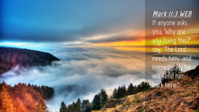 Picture 04 - Mark 11:3 WEB Desktop Wallpaper - If anyone asks you, 'Why are you doing this?' - Desktop Bible Verse Wallpaper