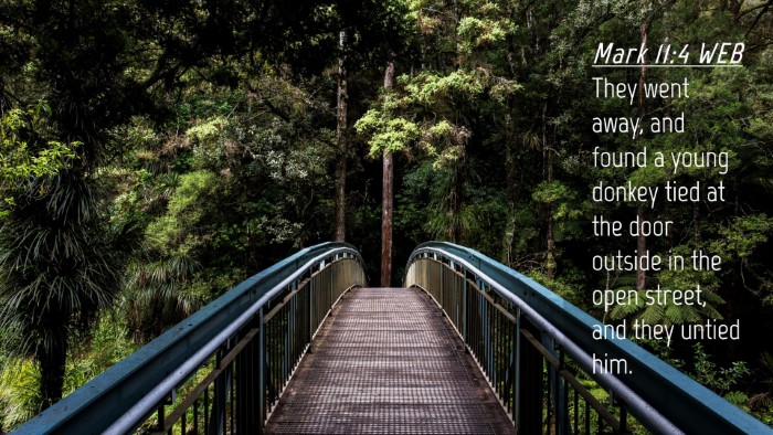 Picture 04 - Mark 11:4 WEB Desktop Wallpaper - They went away, and found a young donkey tied at - Desktop Bible Verse Wallpaper