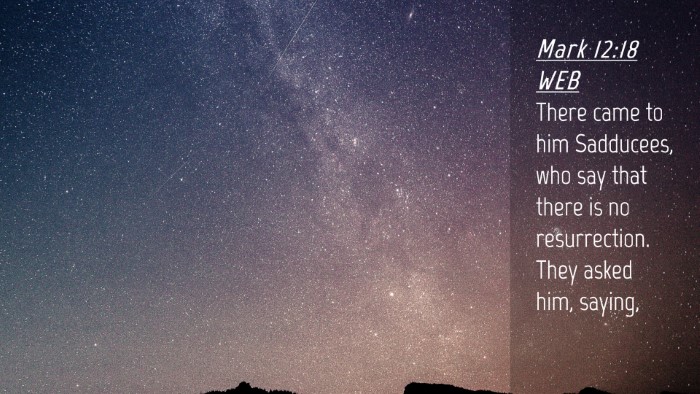 Picture 04 - Mark 12:18 WEB Desktop Wallpaper - There came to him Sadducees, who say that there - Desktop Bible Verse Wallpaper