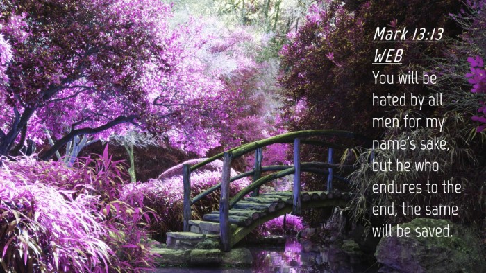 Picture 04 - Mark 13:13 WEB Desktop Wallpaper - You will be hated by all men for my name's sake, - Desktop Bible Verse Wallpaper