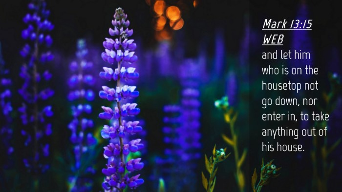 Picture 04 - Mark 13:15 WEB Desktop Wallpaper - and let him who is on the housetop not go down, - Desktop Bible Verse Wallpaper