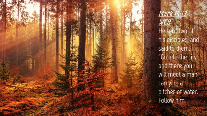 Picture 04 - Mark 14:13 WEB Desktop Wallpaper - He sent two of his disciples, and said to them, - Desktop Bible Verse Wallpaper